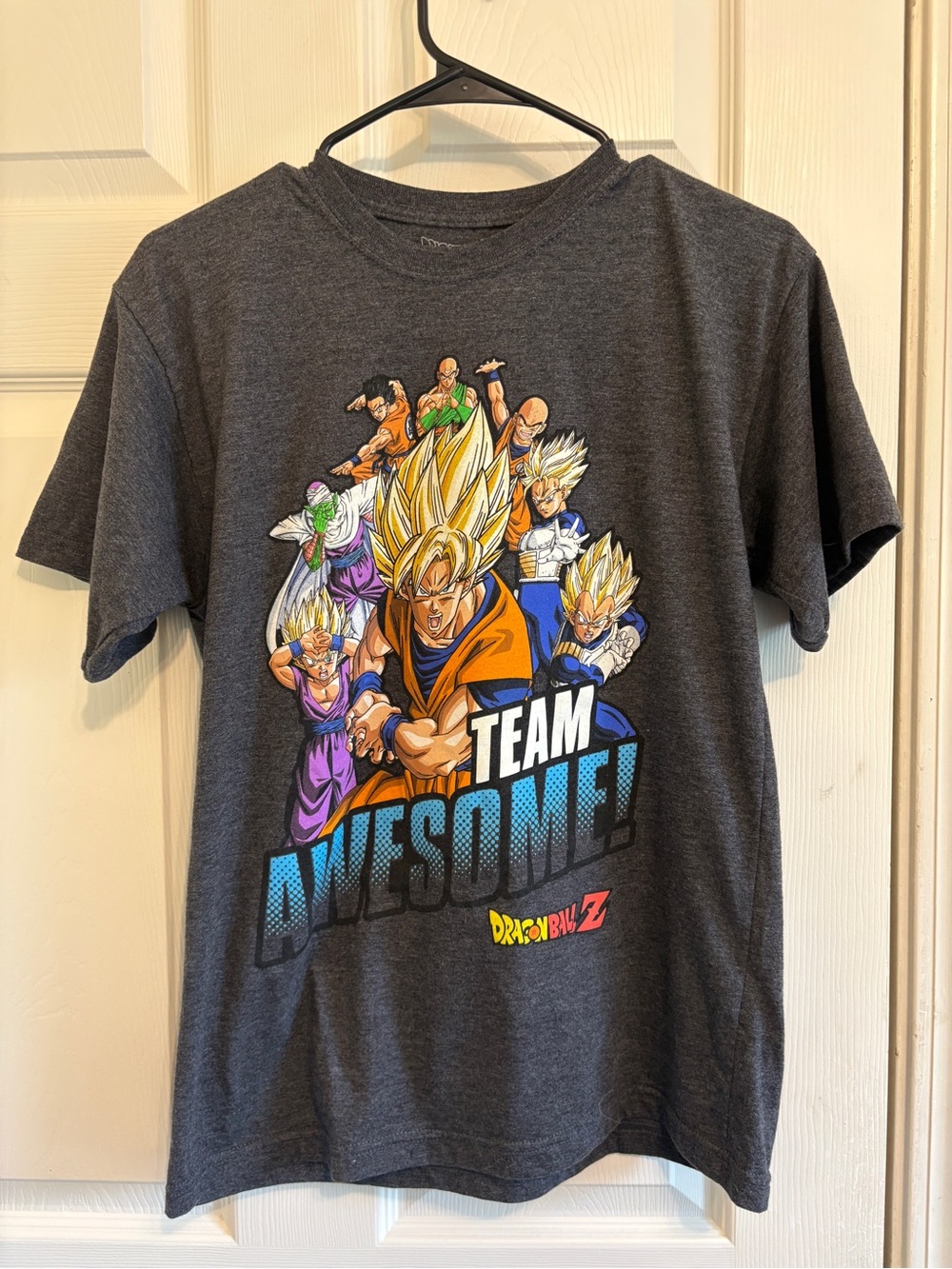 Dragon Ball Z Kids Team Awesome Graphic Tee - Dark Gray